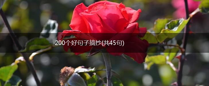 200个好句子摘抄(共45句),第1张