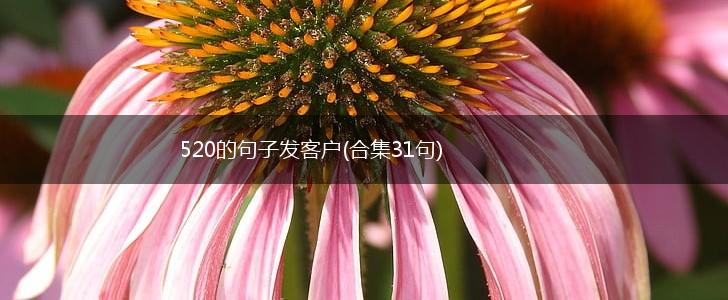 520的句子发客户(合集31句),第1张