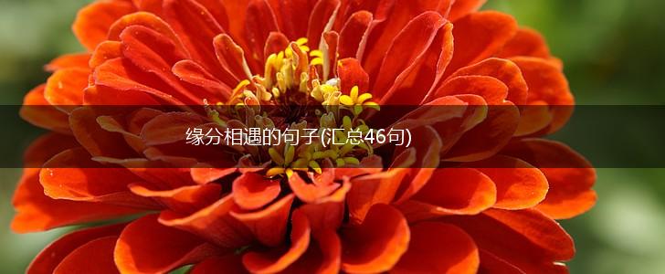 缘分相遇的句子(汇总46句),第1张