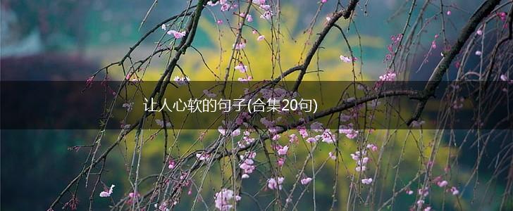 让人心软的句子(合集20句),第1张