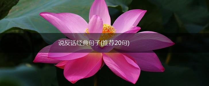 说反话经典句子(推荐20句),第1张