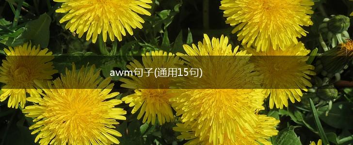 awm句子(通用15句),第1张