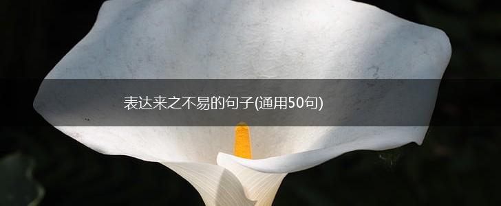 表达来之不易的句子(通用50句),第1张
