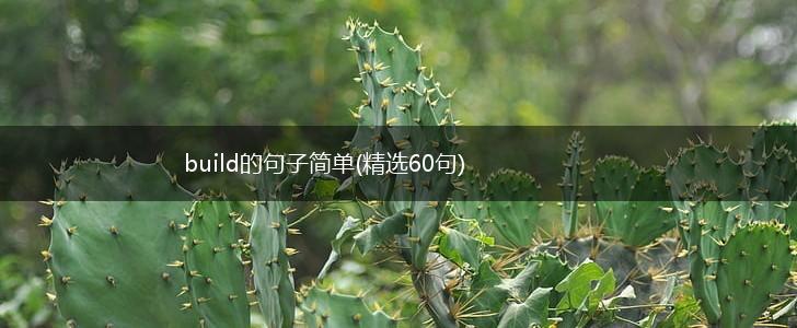 build的句子简单(精选60句),第1张