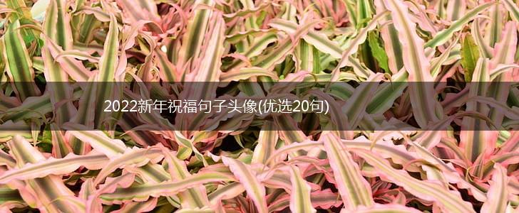 2022新年祝福句子头像(优选20句),第1张