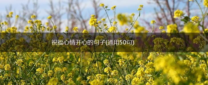 祝福心情开心的句子(通用50句),第1张