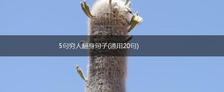 5句穷人翻身句子(通用20句),第1张
