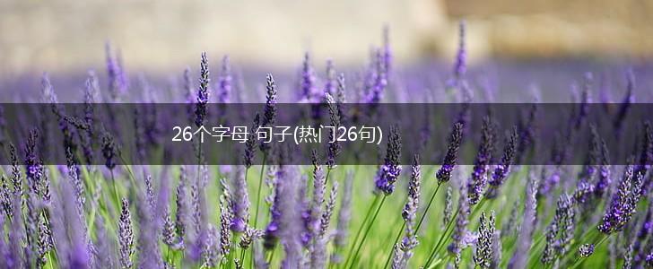 26个字母 句子(热门26句),第1张