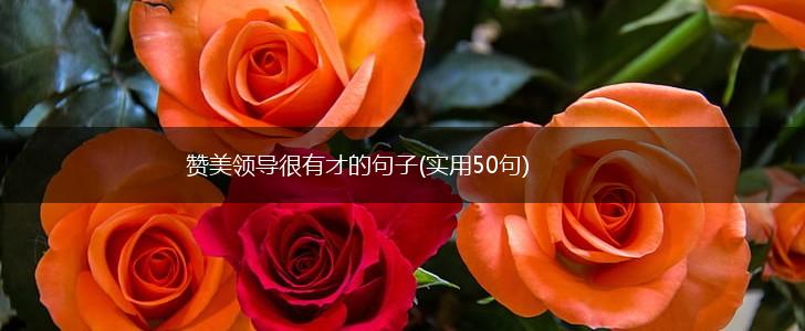 赞美领导很有才的句子(实用50句),第1张