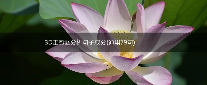 3D走势图分析句子成分(通用79句),第1张