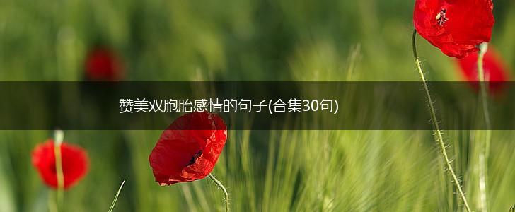 赞美双胞胎感情的句子(合集30句),第1张