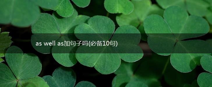 as well as加句子吗(必备10句),第1张