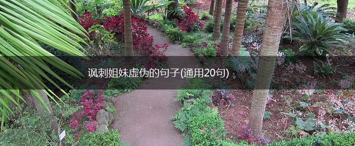 讽刺姐妹虚伪的句子(通用20句),第1张