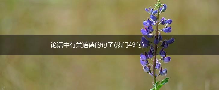 论语中有关道德的句子(热门49句),第1张