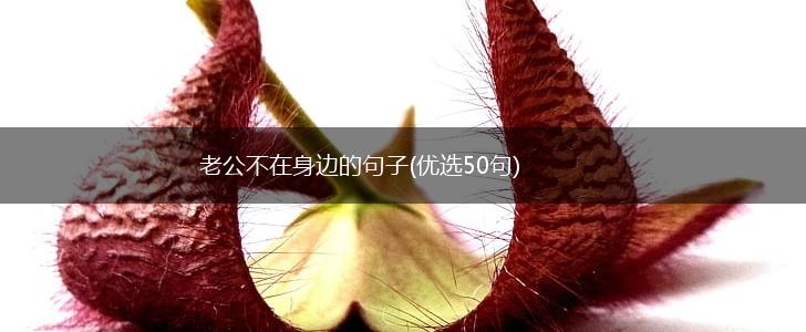 老公不在身边的句子(优选50句),第1张