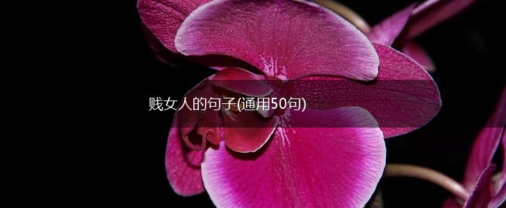 贱女人的句子(通用50句),第1张