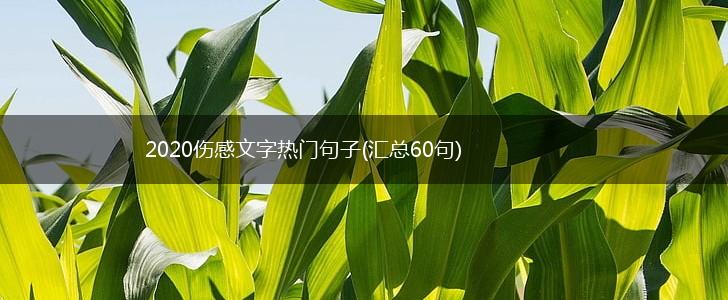 2020伤感文字热门句子(汇总60句),第1张