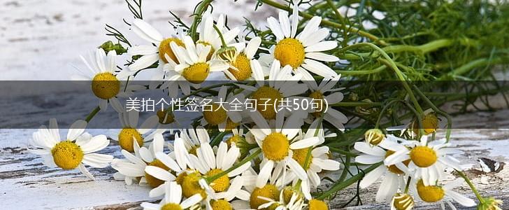 美拍个性签名大全句子(共50句),第1张