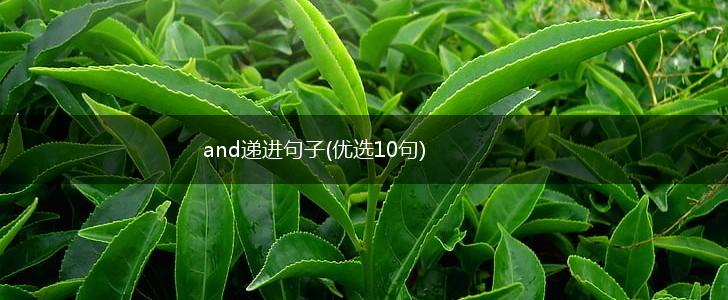 and递进句子(优选10句),第1张