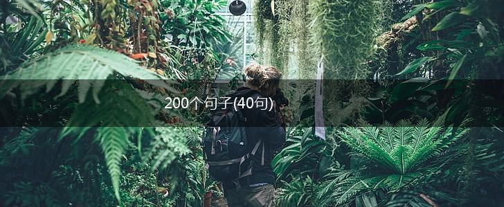 200个句子(40句),第1张