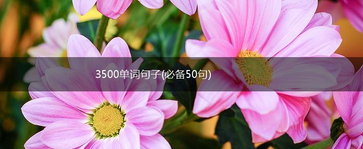 3500单词句子(必备50句),第1张