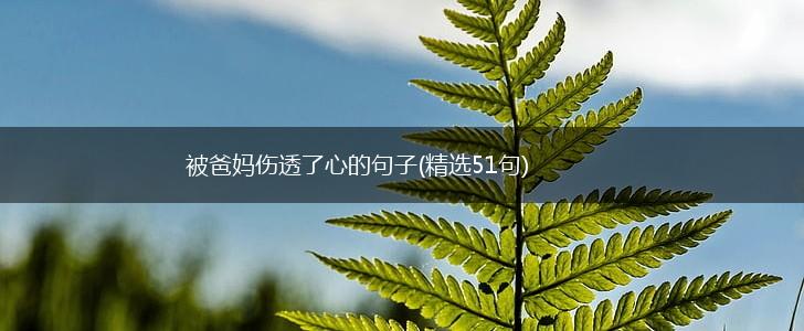 被爸妈伤透了心的句子(精选51句),第1张