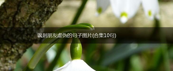 讽刺朋友虚伪的句子图片(合集10句),第1张