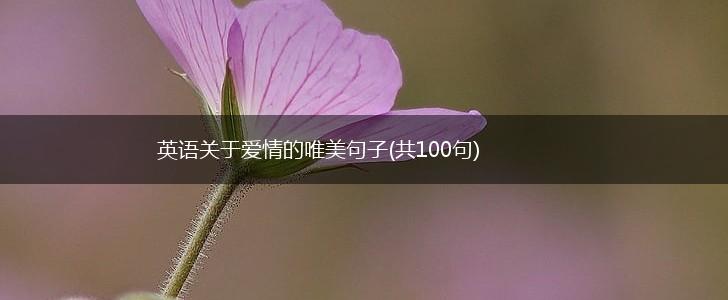英语关于爱情的唯美句子(共100句),第1张