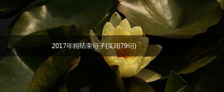 2017年将结束句子(实用79句),第1张