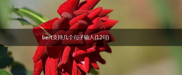 bert支持几个句子输入(12句),第1张