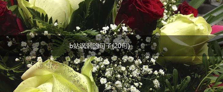 b站讽刺的句子(20句),第1张