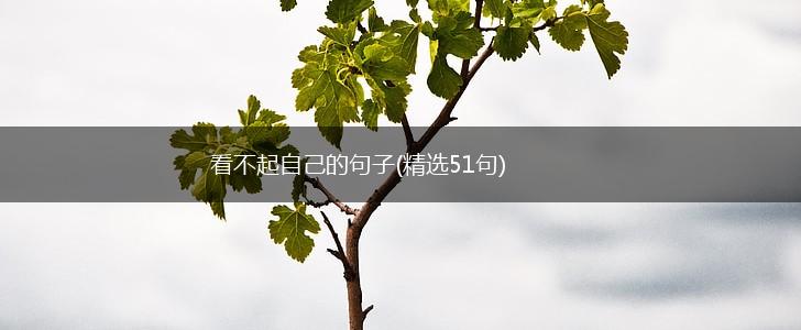 看不起自己的句子(精选51句),第1张