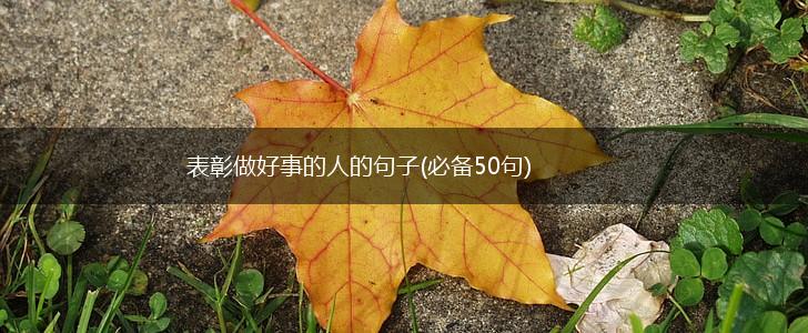 表彰做好事的人的句子(必备50句),第1张