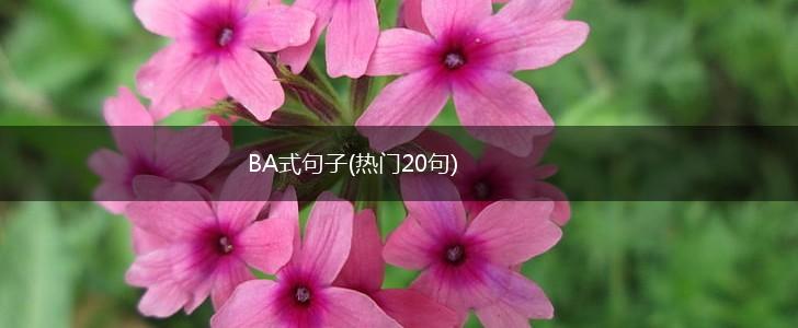 BA式句子(热门20句),第1张