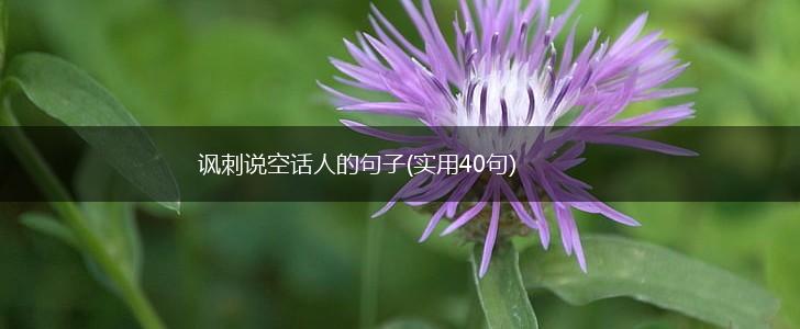 讽刺说空话人的句子(实用40句),第1张