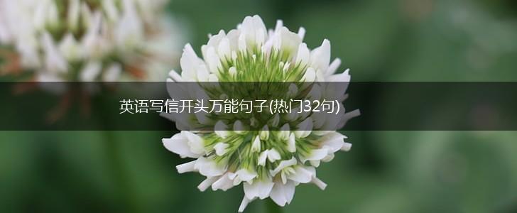 英语写信开头万能句子(热门32句),第1张