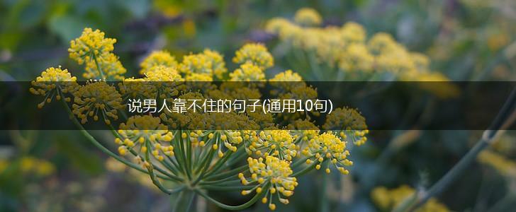 说男人靠不住的句子(通用10句),第1张