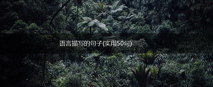 语言描写的句子(实用50句),第1张