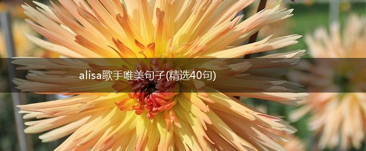 alisa歌手唯美句子(精选40句),第1张