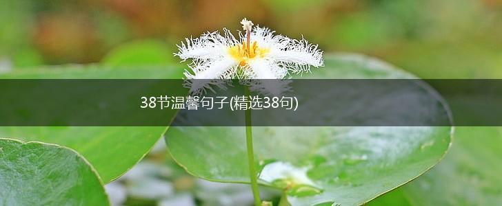 38节温馨句子(精选38句),第1张