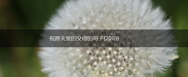 祝愿天堂的父母的句子(20句),第1张