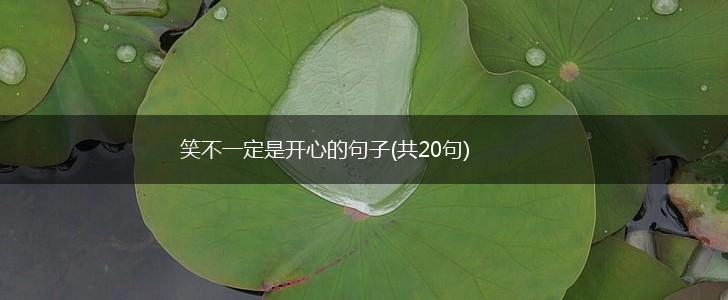 笑不一定是开心的句子(共20句),第1张