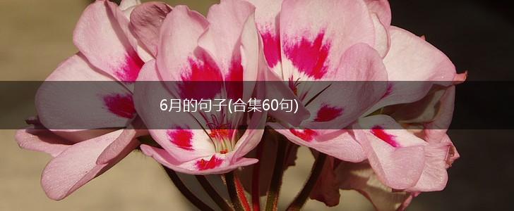 6月的句子(合集60句),第1张