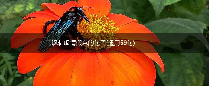 讽刺虚情假意的句子(通用59句),第1张