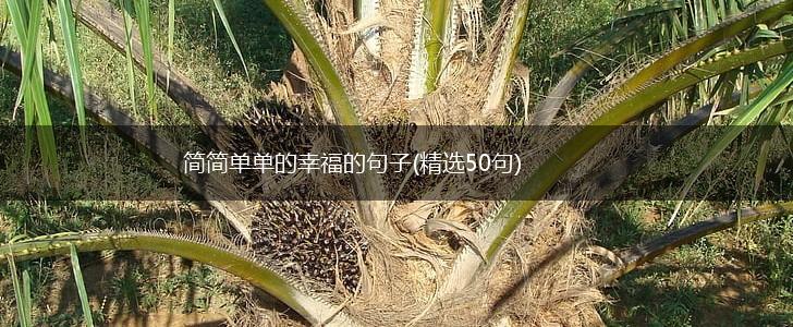 简简单单的幸福的句子(精选50句),第1张