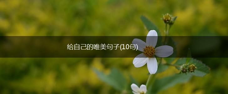 给自己的唯美句子(10句),第1张