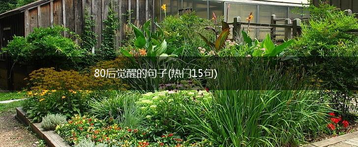 80后觉醒的句子(热门15句),第1张