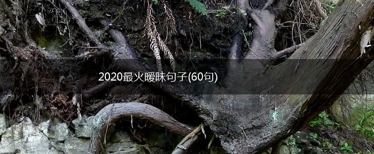 2020最火暧昧句子(60句),第1张