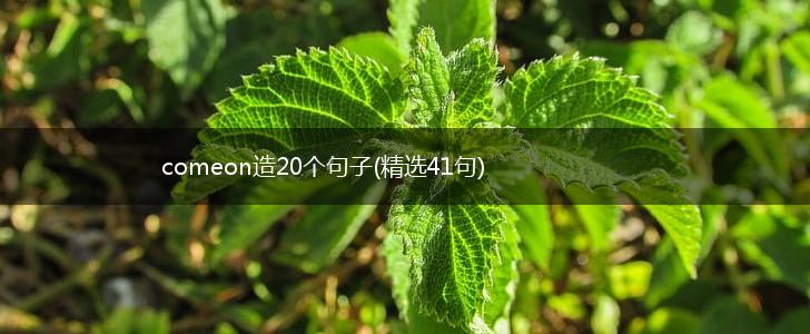 comeon造20个句子(精选41句),第1张