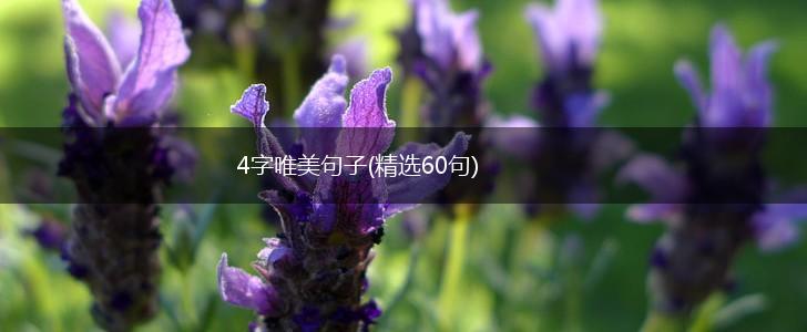 4字唯美句子(精选60句),第1张